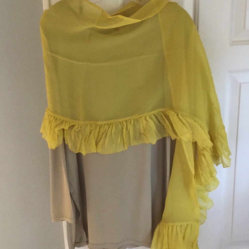 Gorgeous sheer ruffled silk wrap.